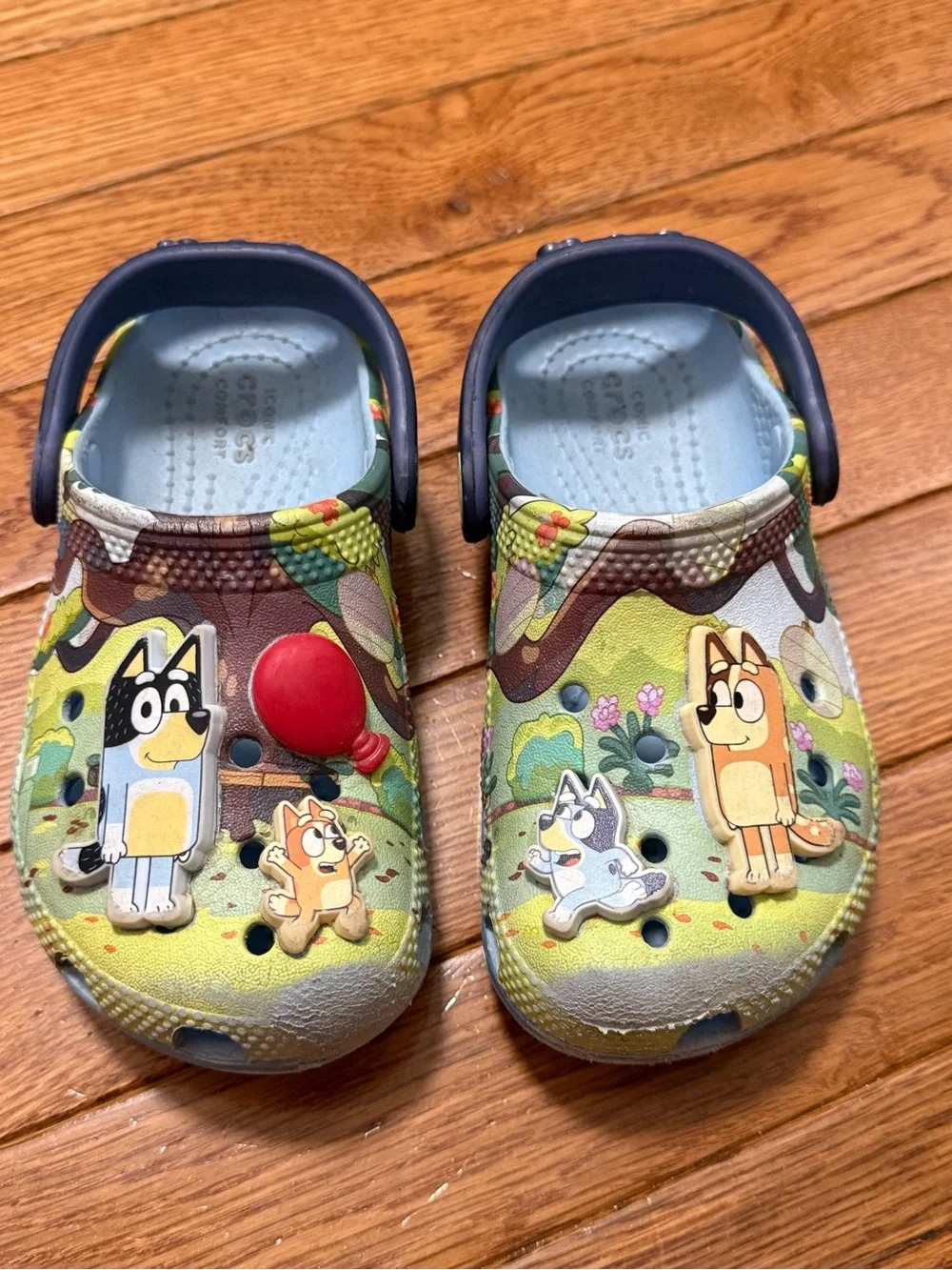 Bluey Cartoon Slip-On Clogs crocs C9